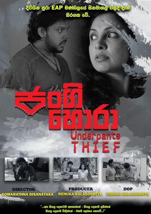 The Underpants Thief